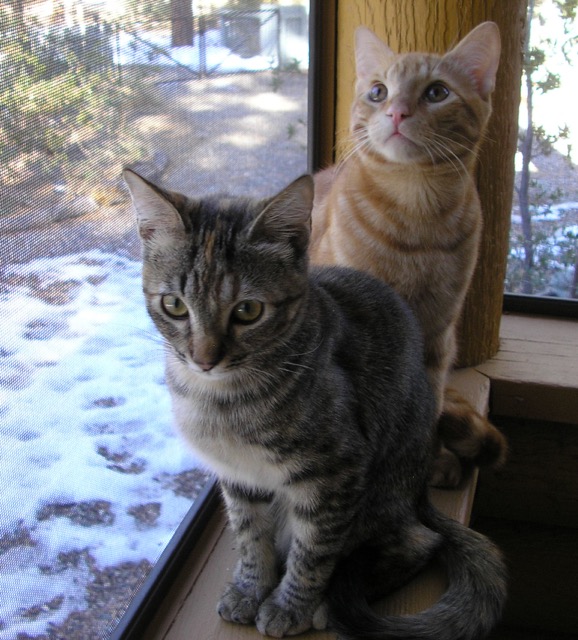Lila & Jerry on porch