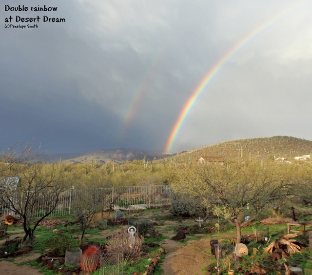 Double rainbow with garden view