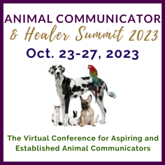Animal Summit announcement