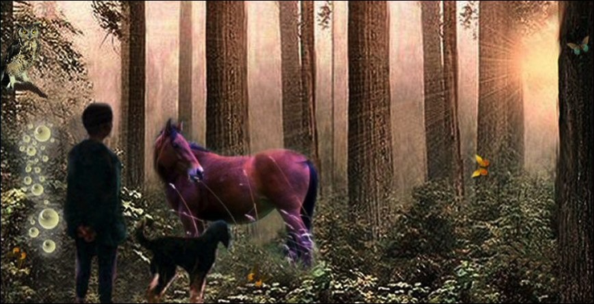 Horse, Dog, Woman in Forest with butterfly and light