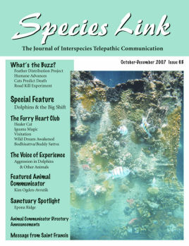Coral reef photo on cover of magazine