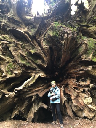 Stacks Image 81