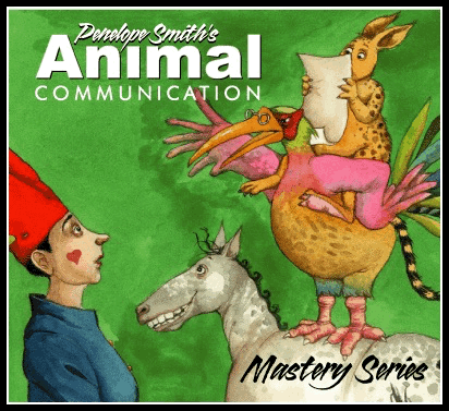 Animal Communication Mastery Series cover with animals