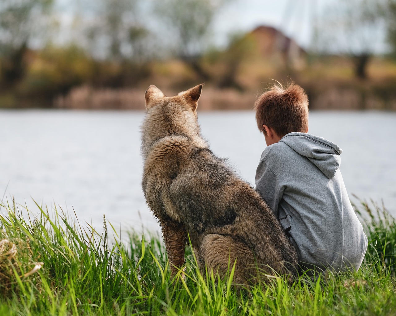 Boy and dog sitting enjoying stillness together by lake 