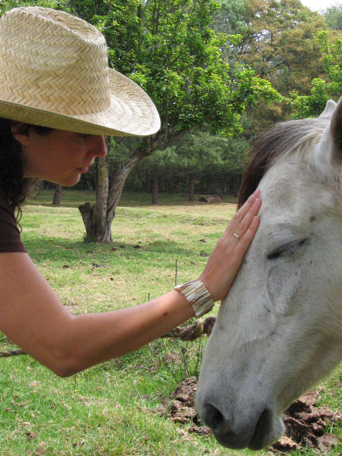 Woman communicating with horse