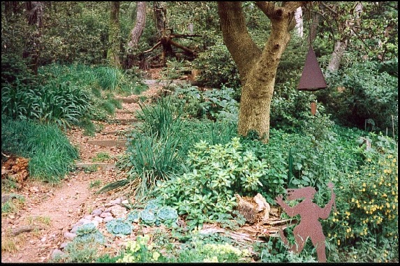 Path leading uphill through garden