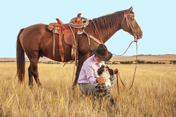 Horse and cowboy talking with dog