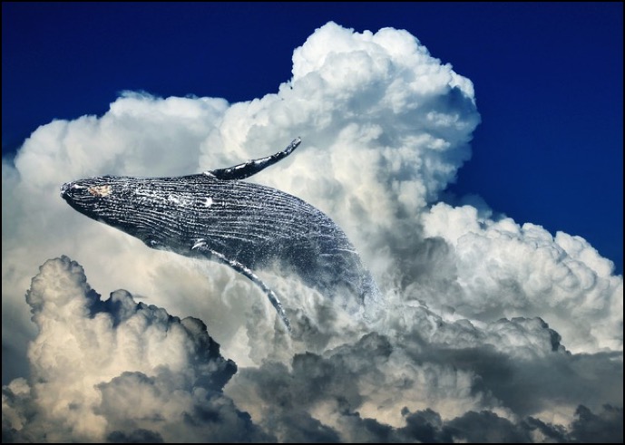 Whale Breaching in Clouds