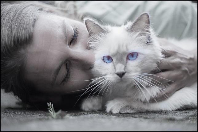 Woman kissing and holding blue-eyed cat