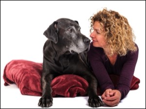 Woman looking at Great Dane