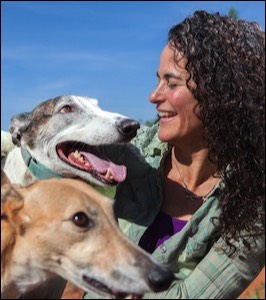 Woman looking at 2 greyhounds