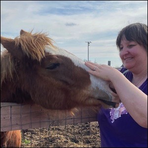 Woman rubbing horse